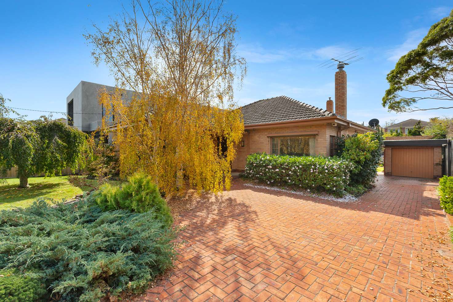 Main view of Homely house listing, 31 Huntingfield Rd, Brighton VIC 3186