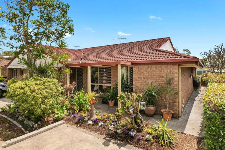 Main view of Homely villa listing, Unit 3/11 Thornlake Ct, Tingalpa QLD 4173