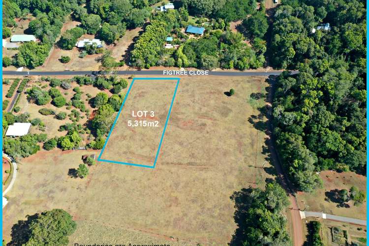 Main view of Homely residentialLand listing, Lot 3 Figtree Close, Malanda QLD 4885