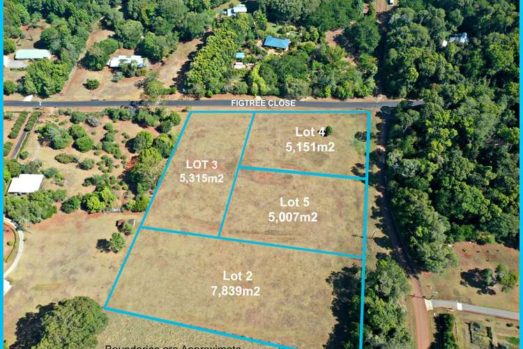 Seventh view of Homely residentialLand listing, Lot 3 Figtree Close, Malanda QLD 4885
