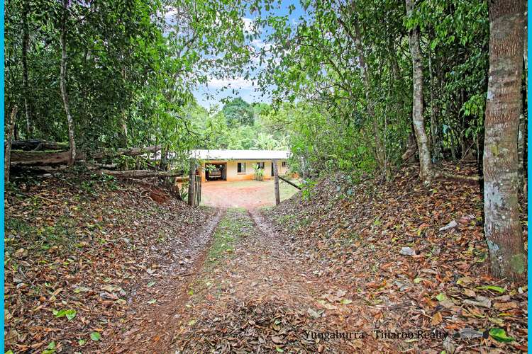 Main view of Homely acreageSemiRural listing, 205 Wrights Creek Rd, Yungaburra QLD 4884