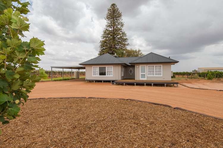 Main view of Homely house listing, 459 Cowanna Ave, Merbein VIC 3505