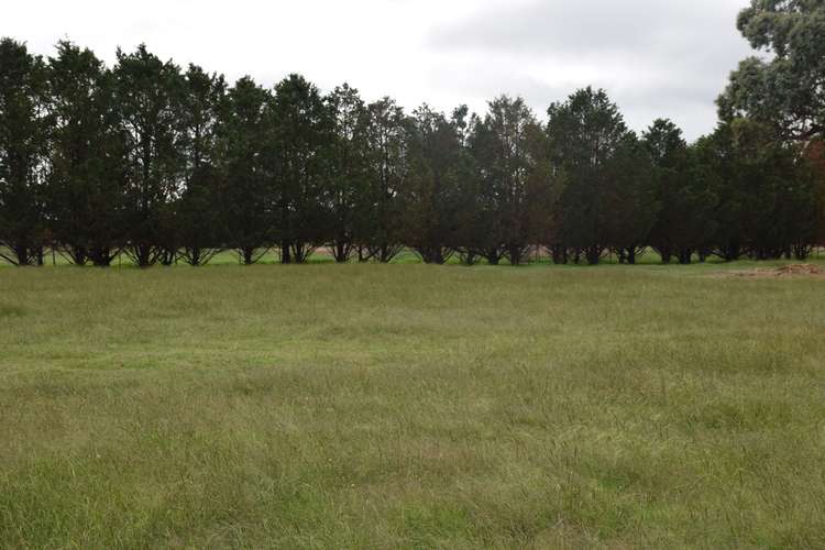 Sixth view of Homely acreageSemiRural listing, 3713 Thunderbolts Way, Uralla NSW 2358