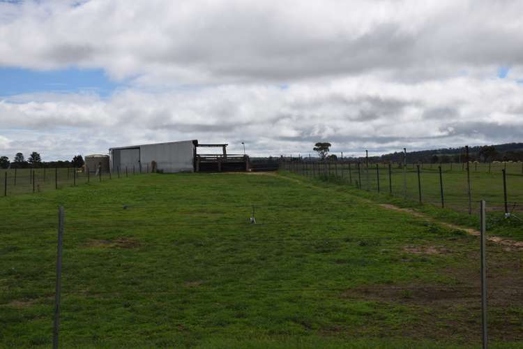 Seventh view of Homely acreageSemiRural listing, 3713 Thunderbolts Way, Uralla NSW 2358