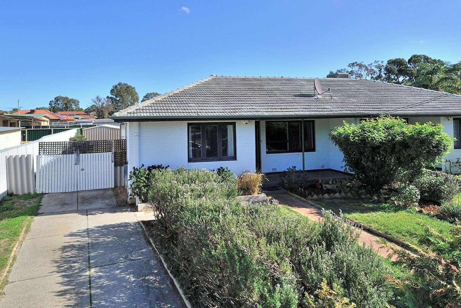 Main view of Homely semiDetached listing, 131 Lord St, Lockridge WA 6054