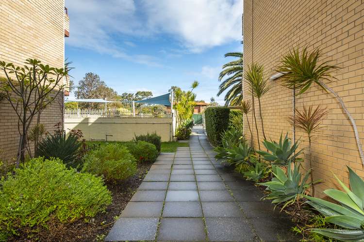 Seventh view of Homely unit listing, Unit 84/99 Herdsman Parade, Wembley WA 6014
