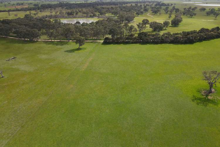 Third view of Homely livestock listing, Lot 35 Limberts Road, Bool Lagoon SA 5271