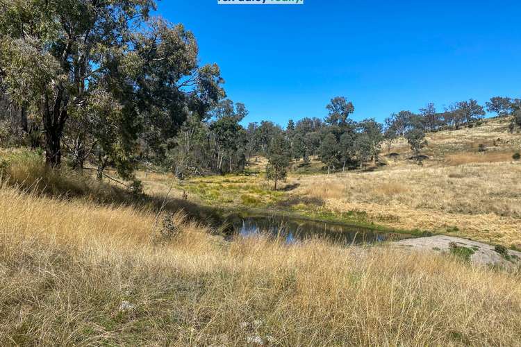 Second view of Homely mixedFarming listing, 229 Bundarra Road, Barraba NSW 2347