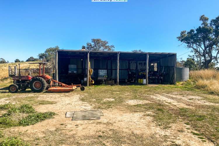 Sixth view of Homely mixedFarming listing, 229 Bundarra Road, Barraba NSW 2347