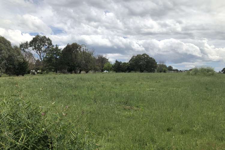 Fifth view of Homely house listing, 8 Faulkner, Uralla NSW 2358