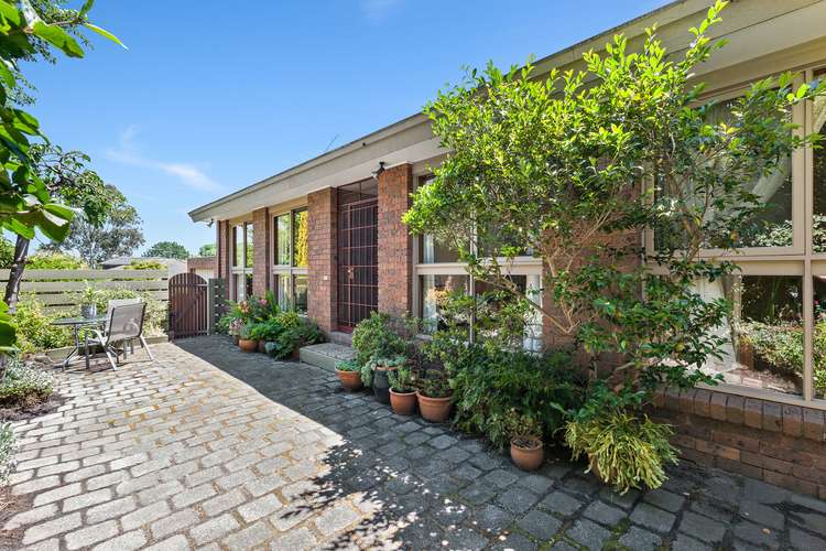 Main view of Homely unit listing, Unit 1/293 Mont Albert Rd, Surrey Hills VIC 3127