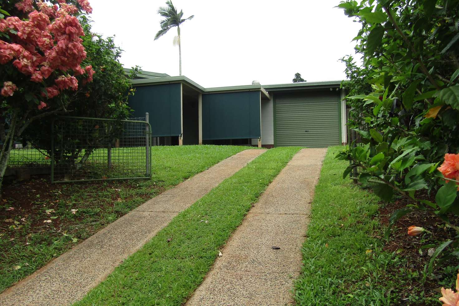 Main view of Homely house listing, 15 Royal Palm Dr, Mission Beach QLD 4852
