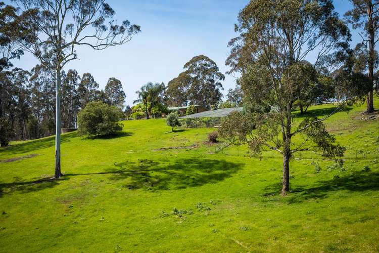 Second view of Homely acreageSemiRural listing, 355 Oaklands Rd, Bald Hills Via, Pambula NSW 2549