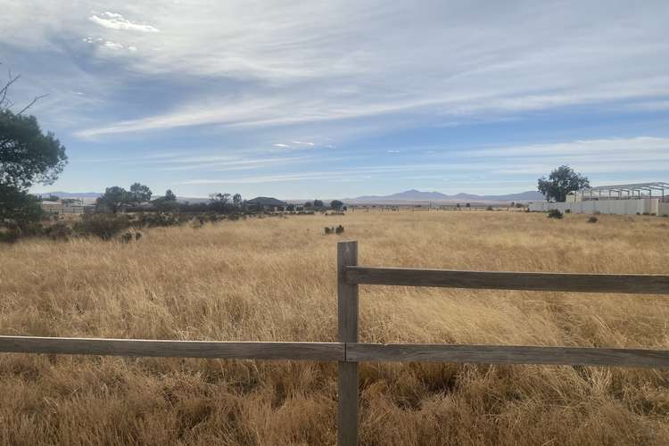 Main view of Homely residentialLand listing, Lot/7 Railway Terrace, Orroroo SA 5431
