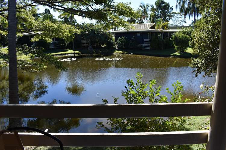 Main view of Homely villa listing, 13/1 Shell St, Urangan QLD 4655