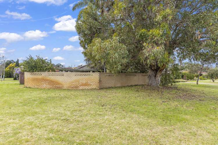 Third view of Homely house listing, 442 The Strand, Dianella WA 6059