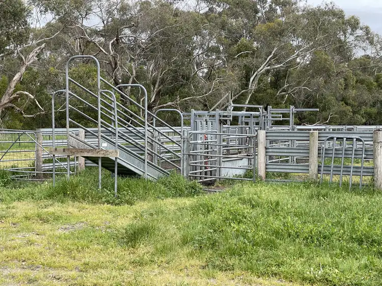 Fifth view of Homely rural property listing, Lot4 Clay Wells Road, Wattle Range SA 5280