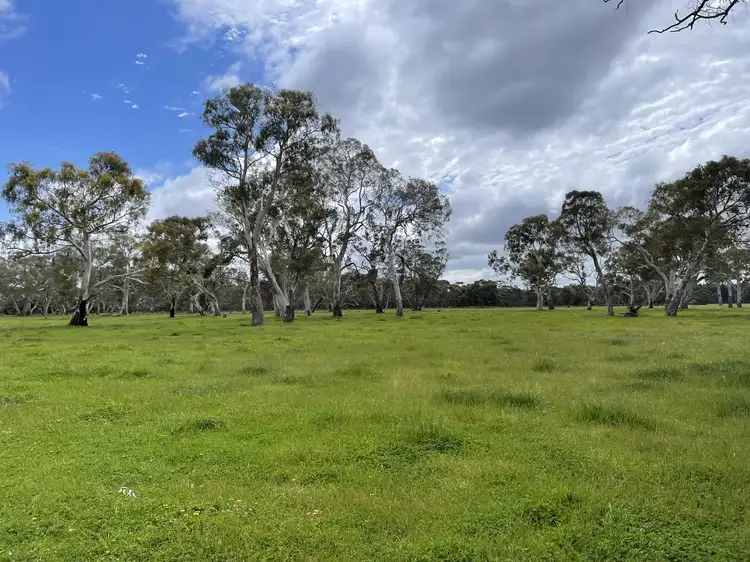 Seventh view of Homely rural property listing, Lot4 Clay Wells Road, Wattle Range SA 5280