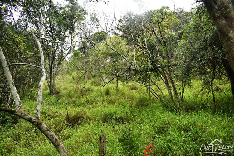 Main view of Homely residentialLand listing, Lot 184 Mountain Rd, Bauple QLD 4650