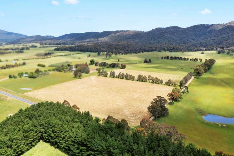 Fifth view of Homely livestock listing, (Part)/714 Happy Valley Rd, Myrtleford VIC 3737