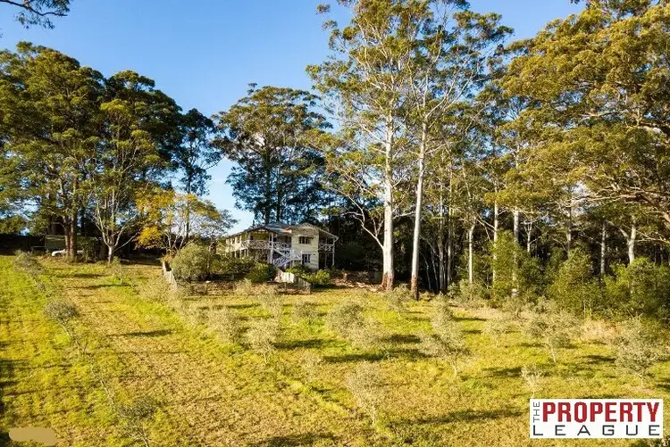 Main view of Homely rural property listing, 39 Mcleod Rd, Mapleton QLD 4560