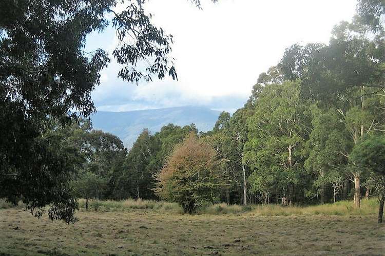 Main view of Homely residentialLand listing, Lot B Walhalla Road, Aberfeldy VIC 3825