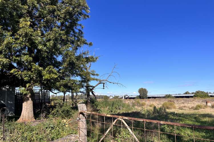 Fifth view of Homely acreageSemiRural listing, 62 Grantham St, Boggabri NSW 2382