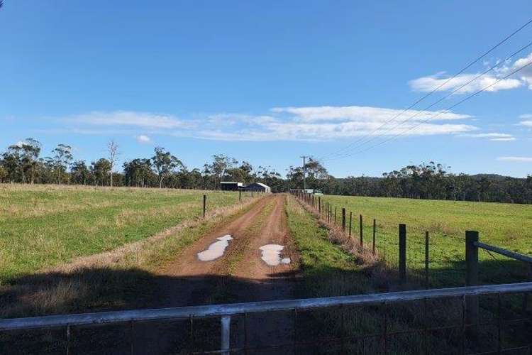 Main view of Homely farmlet listing, 339 Back Creek Rd, Pipers River TAS 7252