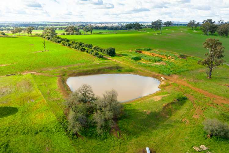 Third view of Homely mixedFarming listing, 'Gumleigh'/231 Barbers Road, Walla Walla NSW 2659