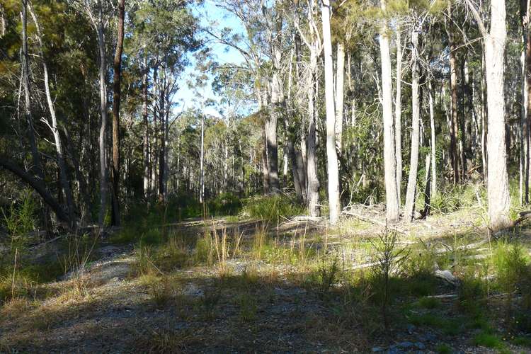 Second view of Homely residentialLand listing, 398 Minimbah Rd, Minimbah NSW 2312