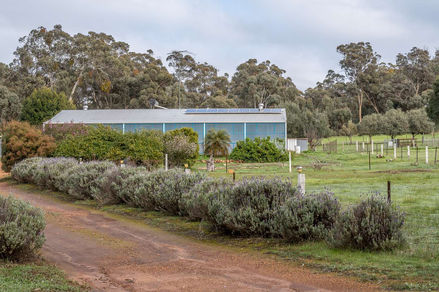 Main view of Homely house listing, 282 Howard Rd, Julimar WA 6567