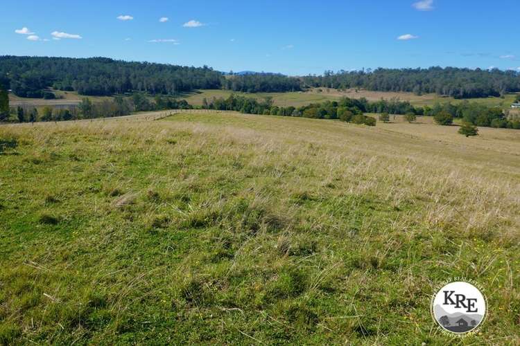 Main view of Homely mixedFarming listing, Lot 10 Eggins Road, Kyogle NSW 2474