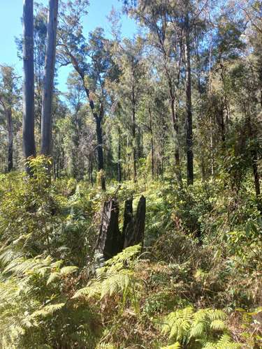 Fourth view of Homely residentialLand listing, LOT 14, Lot 14, 1762 Five Day Creek Road, Comara NSW 2440