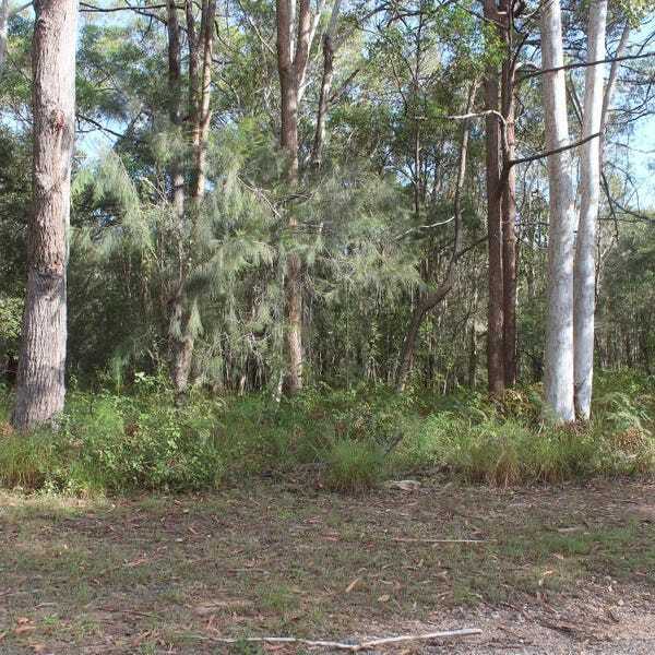 Main view of Homely land listing, 10 Bamberry St, Russell Island QLD 4184