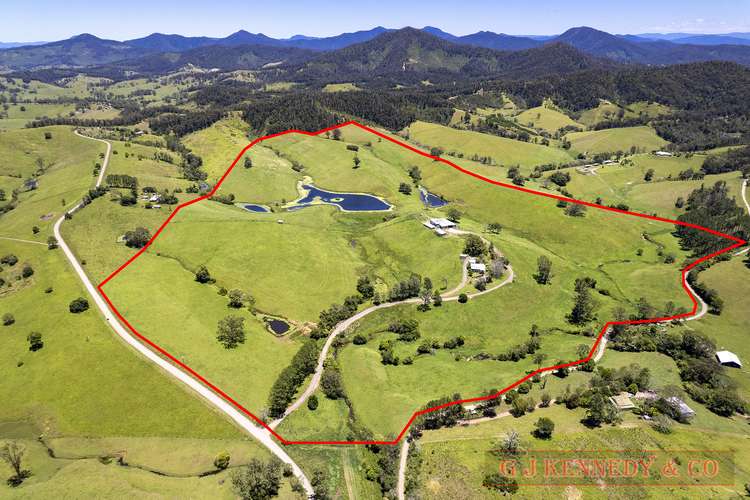 Main view of Homely house listing, 382 Welshs Creek Rd, Talarm NSW 2447