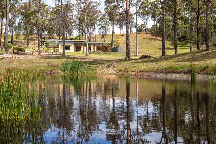 Main view of Homely acreageSemiRural listing, 10 Grenenger Rd, GREIGS FLAT Via, Pambula NSW 2549