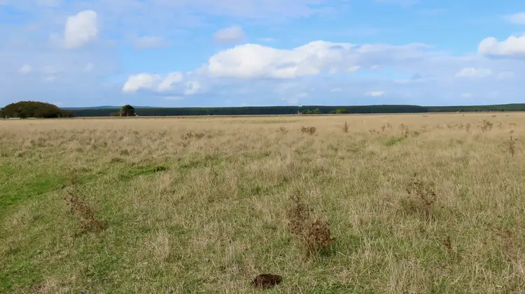 Fifth view of Homely rural property listing, Lot 2 Beaton Road, Tantanoola SA 5280