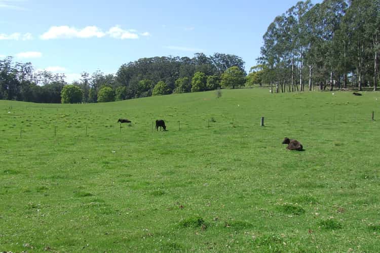 Fifth view of Homely lifestyle listing, Lot 220 Mardells Road, Bucca, Coffs Harbour NSW 2450