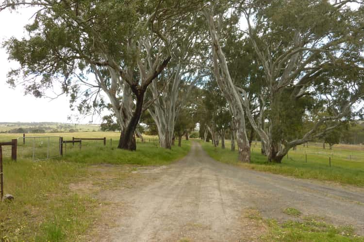 Seventh view of Homely livestock listing, 58 Stephens Road, Inman Valley SA 5211