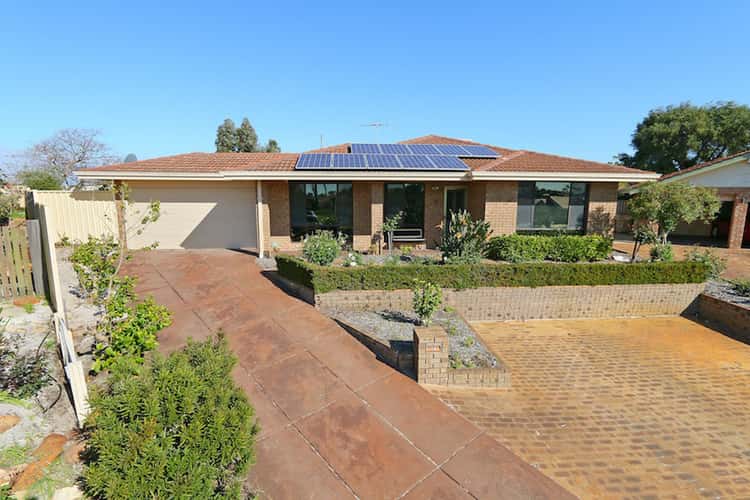 Main view of Homely house listing, 14 Bathurst Court, Willetton WA 6155