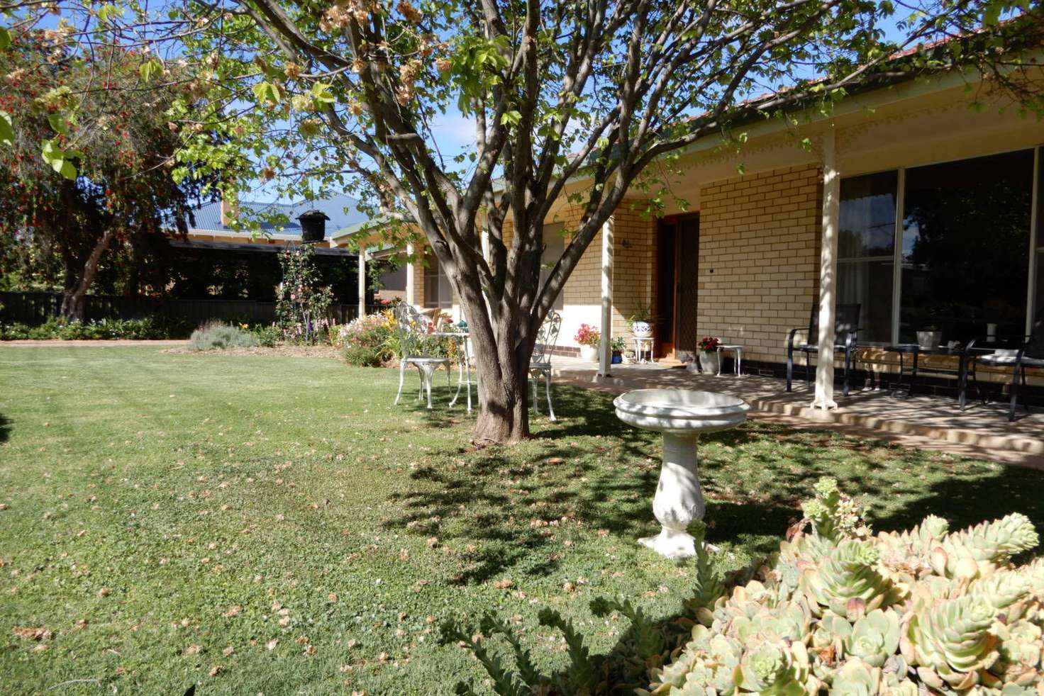 Main view of Homely house listing, 20 Avice Street, Booleroo Centre SA 5482