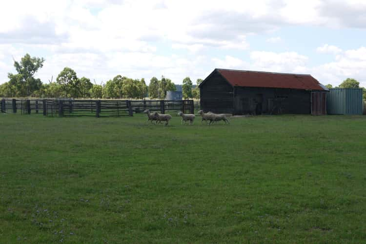 Seventh view of Homely house listing, 34 Bony Mountain Road, Bony Mountain QLD 4370