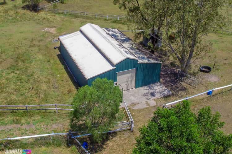 Fifth view of Homely acreageSemiRural listing, 1718 Anderleigh Road, Anderleigh QLD 4570