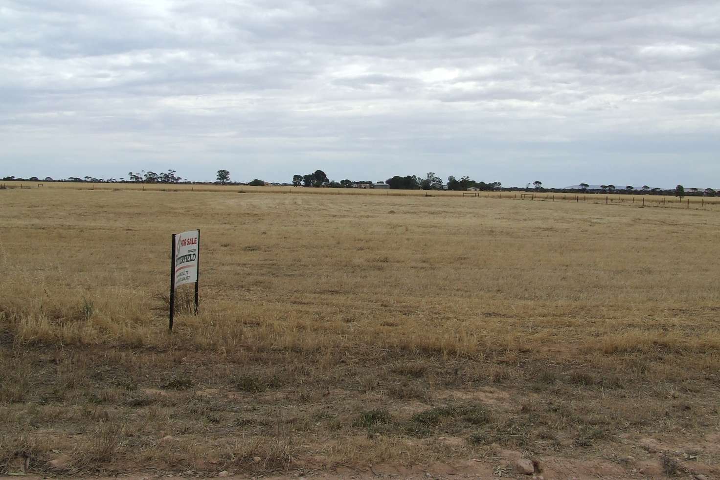 Main view of Homely residentialLand listing, 64 Racecourse Rd, Balaklava SA 5461