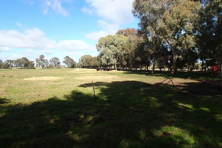 Third view of Homely acreageSemiRural listing, 56 Waratah Rd, Berrigan NSW 2712