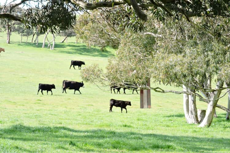 Seventh view of Homely livestock listing, 532 Goolwa Road, Mount Compass SA 5210