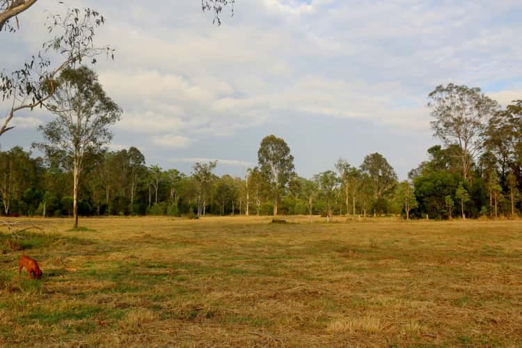 Seventh view of Homely acreageSemiRural listing, 1718 Anderleigh Road, Anderleigh QLD 4570