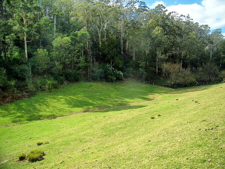 Portion/46 The Snake Track, Kiah NSW 2551