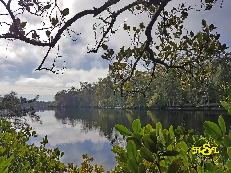 Fifth view of Homely rural property listing, 675 Warraba Rd, The Branch NSW 2425