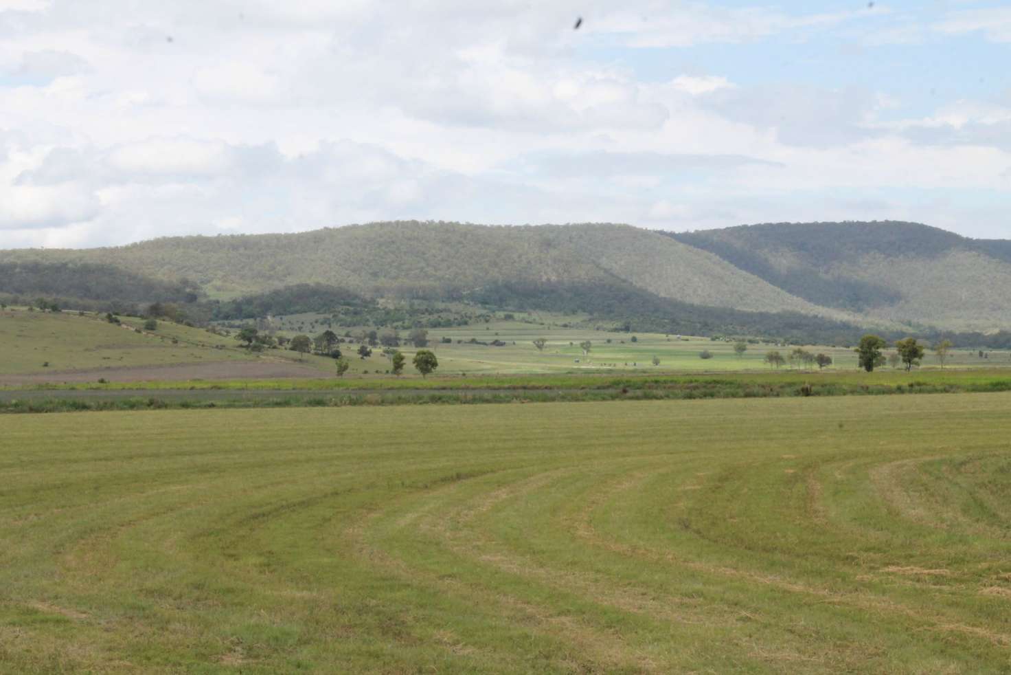 Main view of Homely lifestyle listing, Lot 29 Paynes Road, Freestone QLD 4370